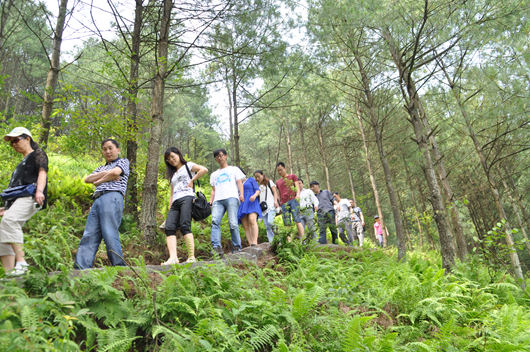 我校党支部书记们排队走进&ldquo;海雀万亩林场&rdquo;