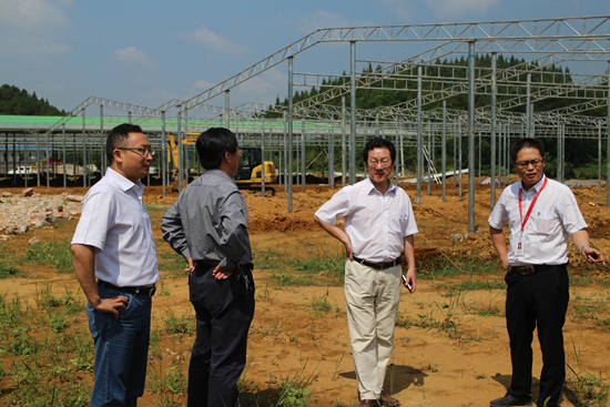 考察肉牛养殖基地