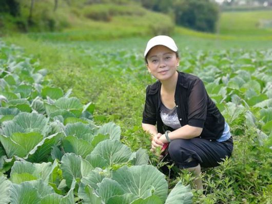 天眼贵州日报报刊社官方新闻客户端春耕掌中宝张万萍教授如何种出卖价